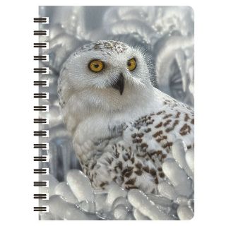 Obrázek z Notes 3D 11x14cm - sněžná sova (10) 
